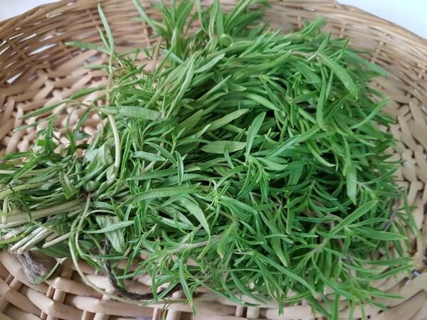 Thyme fresh (2)