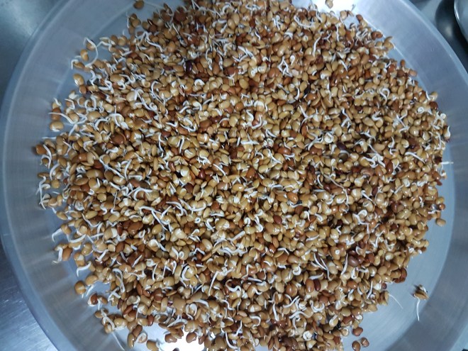 Kulith sprouted vegetable (3)